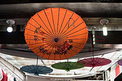 20年宝可梦一朝消失！玩家Switch 2迁移失败痛失千小时存档